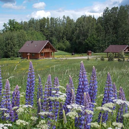 Guest House Kalnini Kārļi Zewnętrze zdjęcie