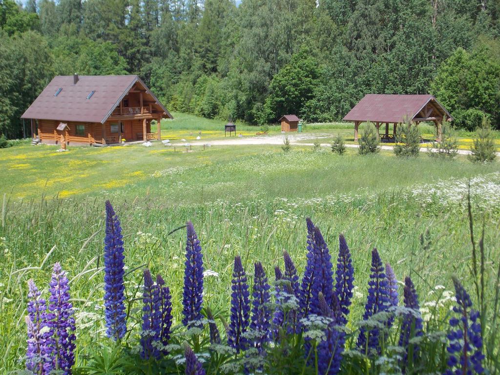 Guest House Kalnini Kārļi Zewnętrze zdjęcie