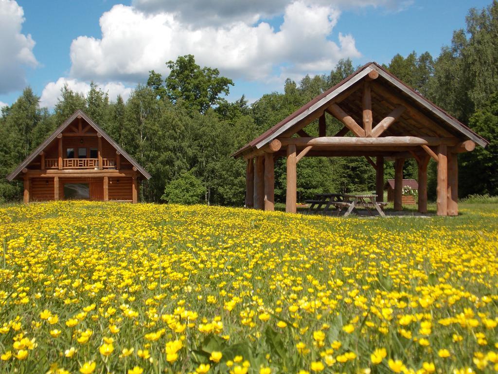 Guest House Kalnini Kārļi Zewnętrze zdjęcie